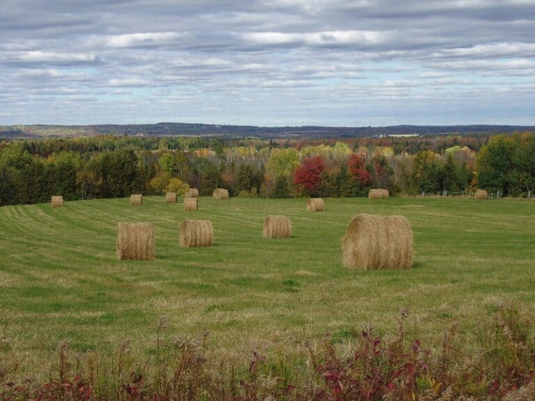 Maine Agriculture Landscape