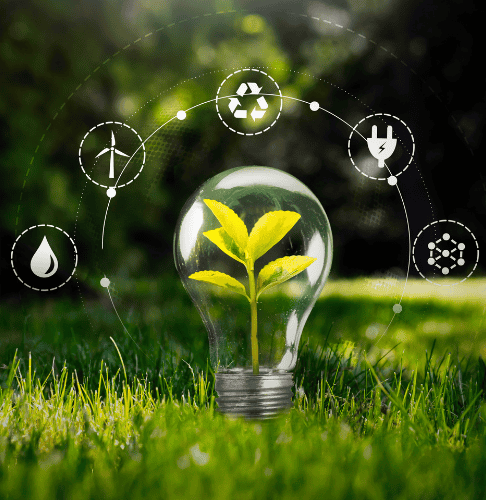 sustainable agriculture